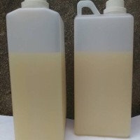 Jual madu hutan sumbawa putih (raw honey)1kg Murah