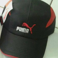 Topi Baseball Gaul Puma
