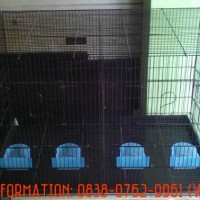 KANDANG BESI JUMBO BERSEKAT UNTUK BURUNG / KUCING / KELINCI / DLLNYA