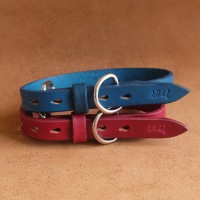 Jual Kalung Anjing Kulit Asli Leather Dog Collar Warna Blue Tosca Size M Murah