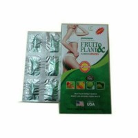 Jual obat pelangsing badan tubuh lengan paha fruit&plant Murah