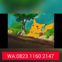 Jual Jual Dvd Anime Pokemon Season 1-14 dan Movie LENGKAP Murah