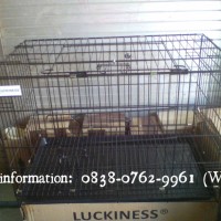 Jual KANDANG BESI LIPAT JUMBO P76xL46xT54cm U/ KUCING, ANJING, KELINCI, DLL Murah