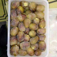 Jual Kurma Muda Ruthob Beku Kiloan Murah