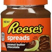 Jual REESE'S SPREADS PEANUT BUTTER CHOCOLATE 649 GR Murah
