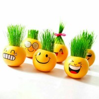 Jual Emoji Plant Grass Doll - Boneka Tanaman Rumput Murah