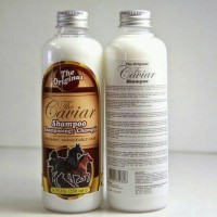 Jual 100% ASLI SHAMPOO CAVIAR / SHAMPO KUDA PENUMBUH RAMBUT Murah