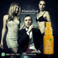 Jual Parfum Pria Pemikat Lawan Jenis (Masculine Gold) Murah