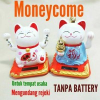 Jual Kucing Hoki Rejeki Murah