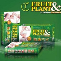 Jual Pelangsing Fruit&Plant Murah