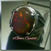Jual Kalimaya Teh Lukut Banten Murah