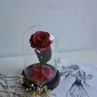 Jual Enchanted Rose / Mawar Beauty and The Beast / Bunga Handmade Clay Art Murah