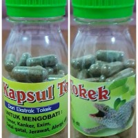 Jual Herbal Kapsul Tokek untuk Pengobatan Alternatif Murah