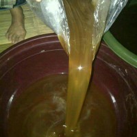 Jual Promo Buy 1 - Get 1 | Madu Hutan Murni Murah