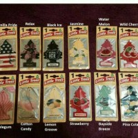Jual Pengharum Mobil Little Tree Murah