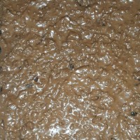Jual pesanan Daru, 1 brownies nutella + 1 ovomaltine Murah