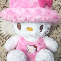 Jual Boneka Hello Kitty (Like New) Murah