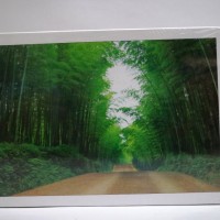 Jual Nightilum Jigsaw Puzzle - Bamboo Tunnel - 500 Pcs Murah