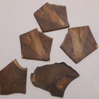 Jual Talenan kayu murah! Seri B. Potongan kepala kayu - properti alas foto Murah