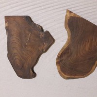 Jual Talenan kayu murah! Seri C. Potongan kepala kayu - properti alas foto Murah