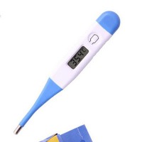 Jual Thermometer Digital Murah
