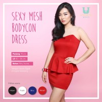 Jual KP3811 Sexy Mesh Bodycon Party Dress DS788 KODE TYR3867 Murah
