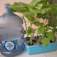 Jual Peralatan Hidroponik Set / Starter Kit / Basic Kit Hydroponic Murah