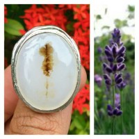 Jual Dendrite Kristal motif setangkai bunga Murah