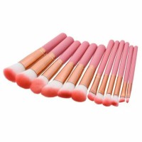 Jual KUAS MAKEUP SET 10PCS PINK PEACH - PROFESIONAL MAKE UP BRUSH 10 PC Murah