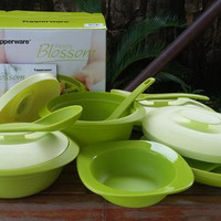 Jual Tupperware Smart Kitchen Petite Blossom set wadah penyajian makanan Murah