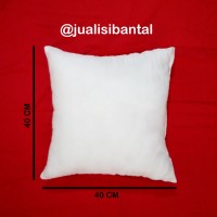 Jual 1set/5pcs ISI BANTAL SOFA SILIKON 40x40cm Murah