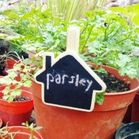 Jual Mini Chalkboard-Papan Tulis Mini Penanda Tanaman-Rumah Murah