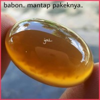 Jual Cincin Pandan Nanas Lumut. pandan lumut bacan doko batu anggur Murah