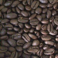 Jual kopi toraja Murah