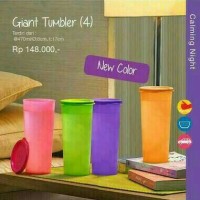 Jual Giant Tumbler Murah