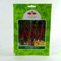 Benih bibit cabe keriting PM 999 F1
