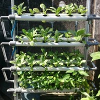 Jual Mini Garden Hydroponic V 4.0 Taman Kebun Hidroponik Besar NFT/ DFT Murah