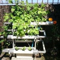 Jual Mini Garden Hydroponic/ Taman Portable DFT Hidroponik V.3.0 Murah