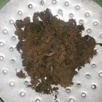 Jual Abon Dendeng Sapi 500 gram Murah