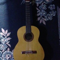 Di jual Gitar Marfill C390 Akustik Nylon ORI