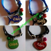 Jual kalung kucing dan anjing Murah