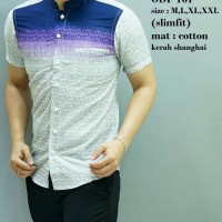Baju Koko Modern Pria / Baju Muslim Lengan Pendek / Batik ODF161