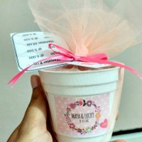 Jual Souvenir Pernikahan Benih / Bibit Tanaman Paket Pot Mini Murah