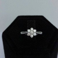 Cincin Berlian Eropa ( Ada logo frank n co ) SOLD THANKS