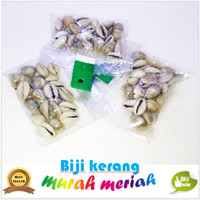 Jual mainan tradisional anak kerang biji congklak bekel 24 biji Murah