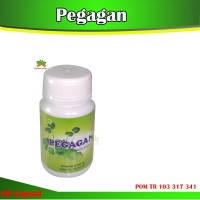 Obat Herbal Kapsul Pegagan -Herbal Insani-