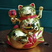Jual Kucing Hoki 02 Murah