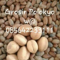 Jual BIJI POLOKYO DIET/PELANGSING/DETOK/LEMAK/KOLESTEROL/HERBAL Murah