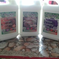 Jual Mawar Super Laundry 5Lt By Gosend (Pondk Ungu-Bekasi) Murah