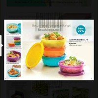 Jual Tupperware Junior Modular Bowl dr 140rb jd 73rb 4 bh Murah